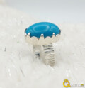 Tuquoise Birthstone Month December Ring