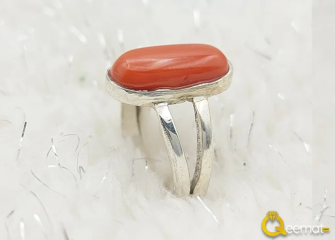 Silver Metal Double Shank Ring