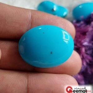 Buy Natural Irani Turquoise (Feroza) Gemstone - Real Guaranteed